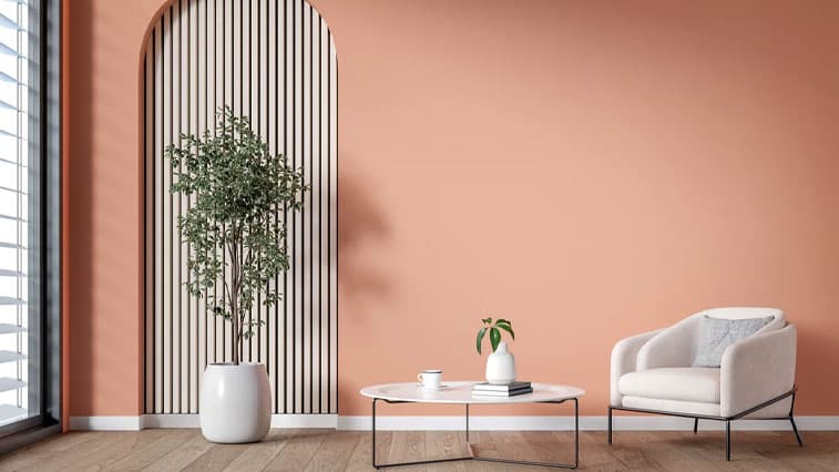 More Than a New Colour: How the Right Paint Can Change the Feel of Your Entire Home